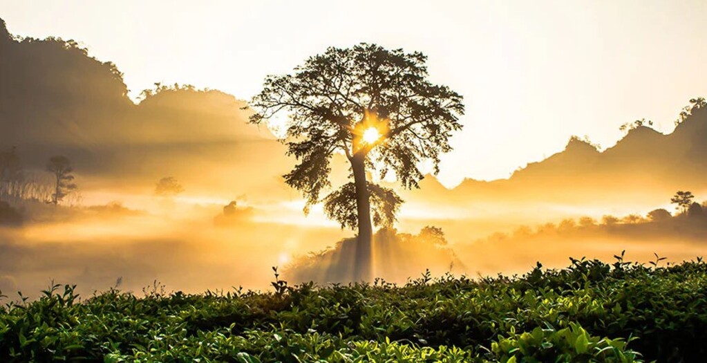 Formation professionnelle en Sophrologie